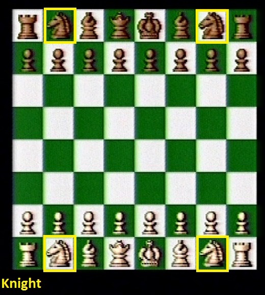Beginning Knight positions